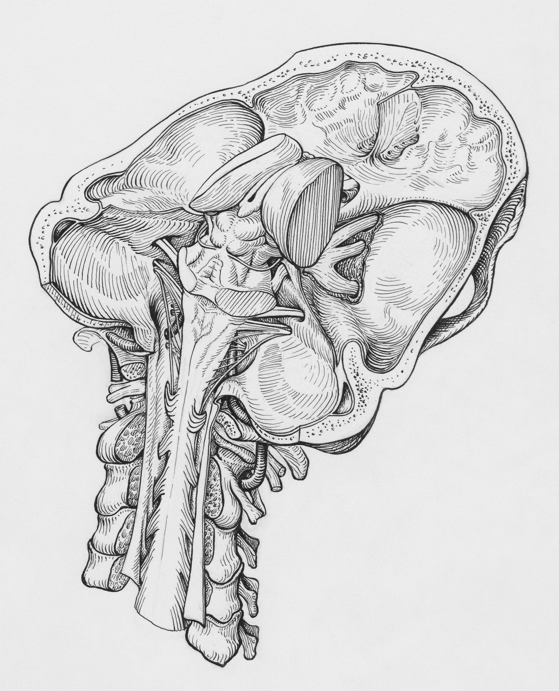 How Smoking Harms Your Nervous System